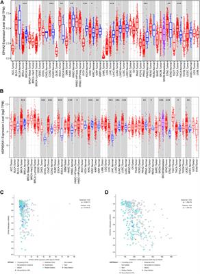 Molecular mechanism of Ganji Fang in the treatment of hepatocellular carcinoma based on network pharmacology, molecular docking and experimental verification technology